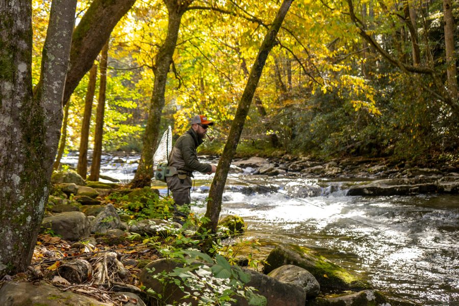 Fly angler working a North Georgia mountain stream in autumn