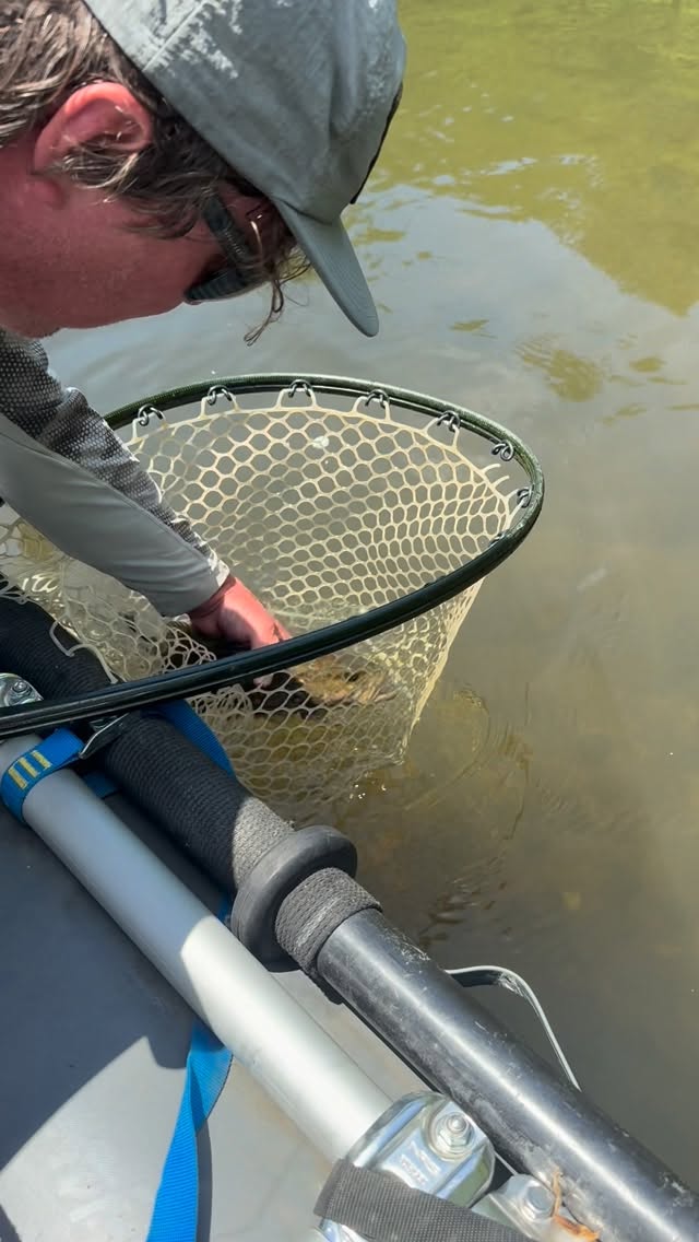 Guide netting a trout